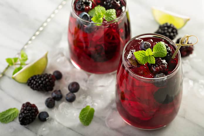 Blueberry Gin Sour, A Summer Cocktail Favorite